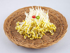豆芽產(chǎn)品