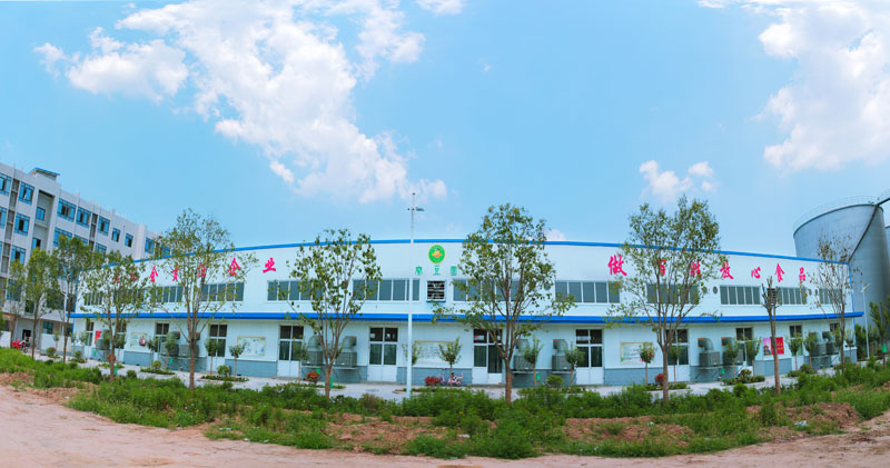 秦豆園園區(qū)全景圖